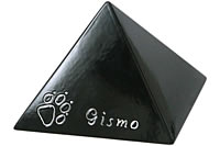 gs-0,8-23-schwarz-glanz-pfote01-graviert-Gismo